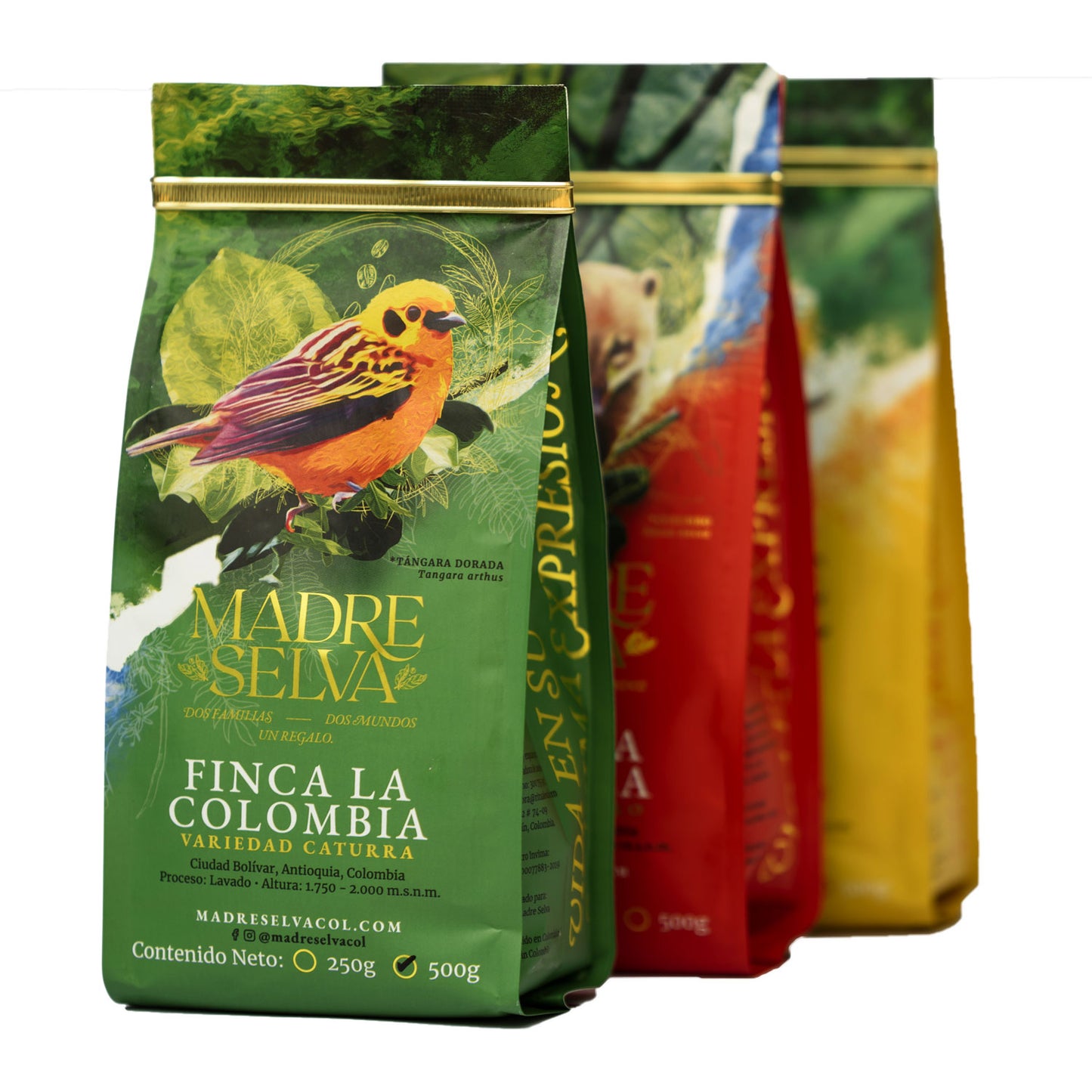 MADRE SELVA " FINCA LA COLOMBIA"