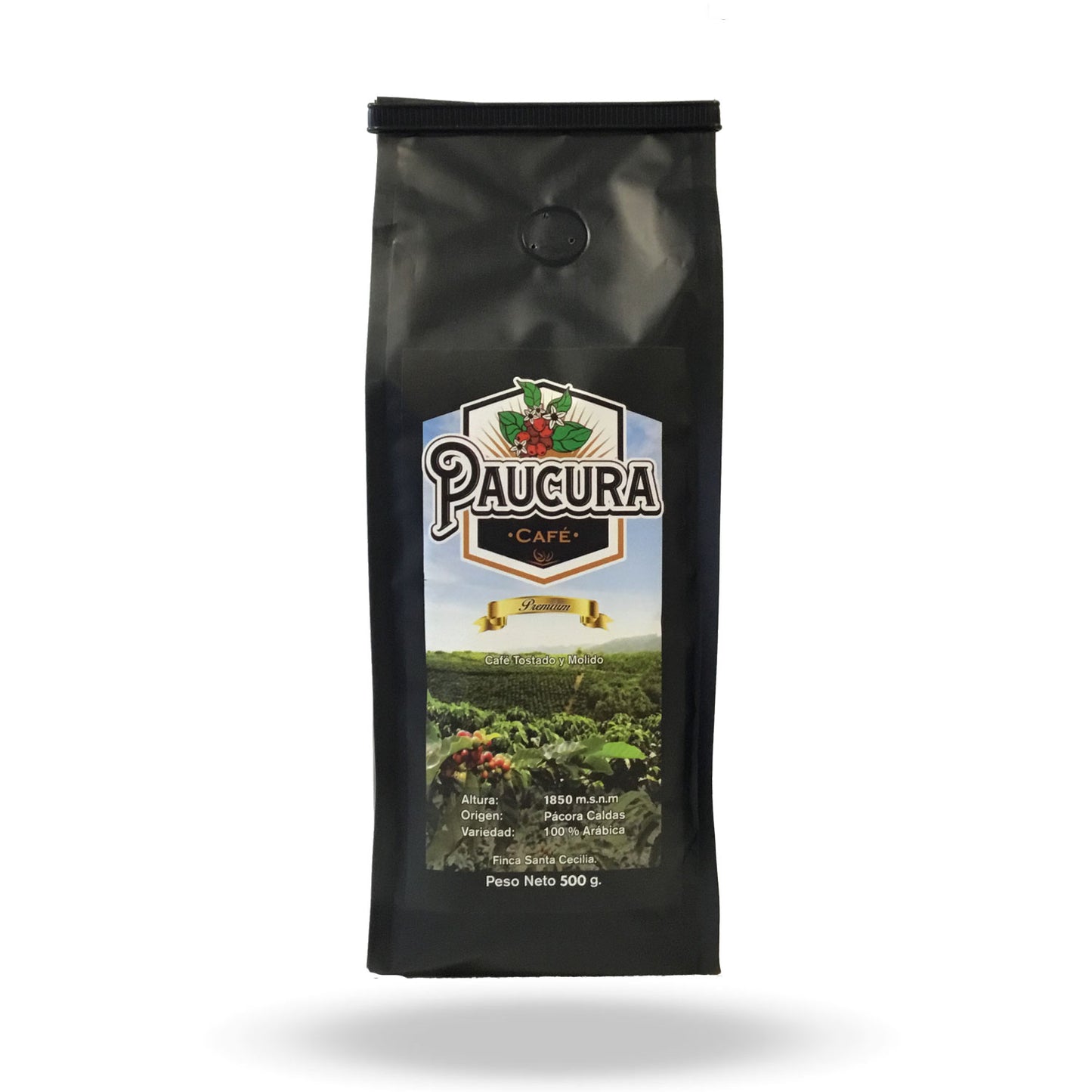 PAUCURA CAFÉ